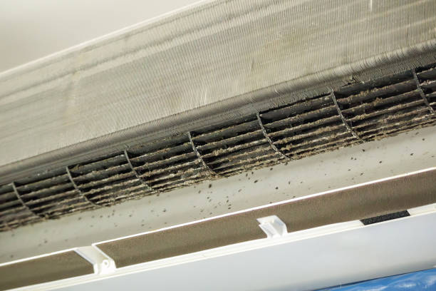 Best Air Duct Cleaning Near Me  in Ossian, IN