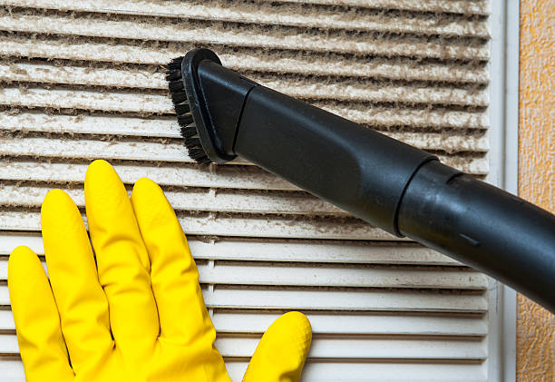 Best Residential Air Duct Cleaning  in Ossian, IN